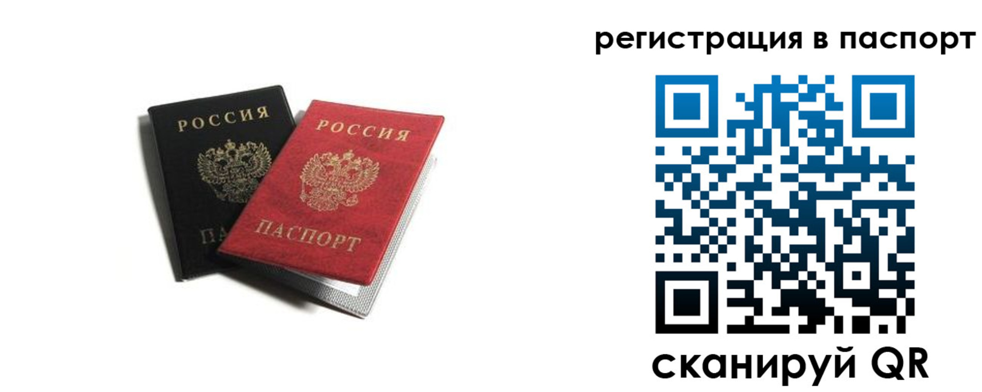 временная регистрация для школы в Орехово-Зуево